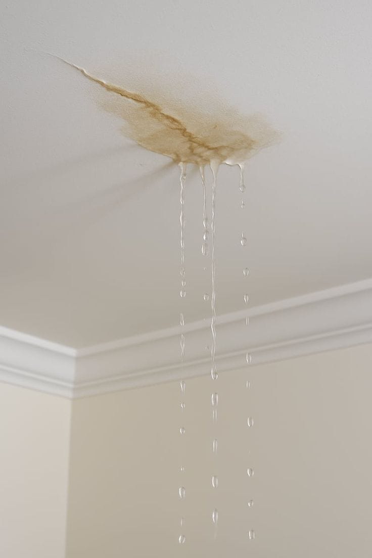 Leakage & Renovation 162
