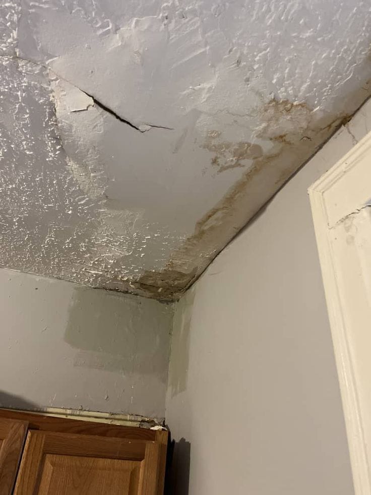Leakage & Renovation 165
