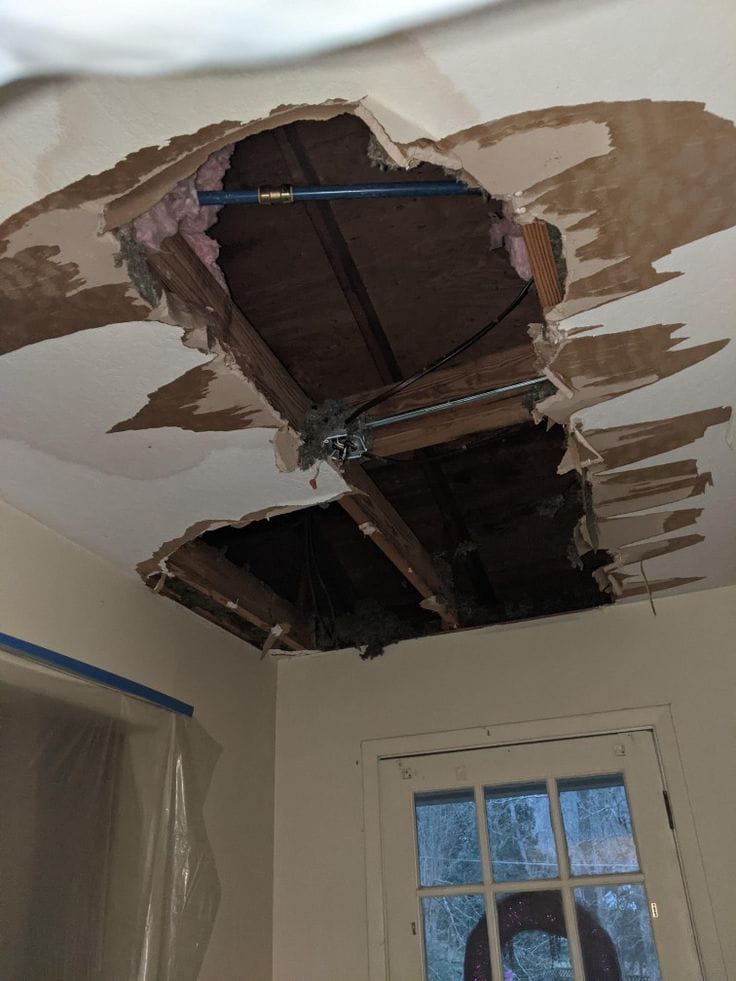 Leakage & Renovation 166