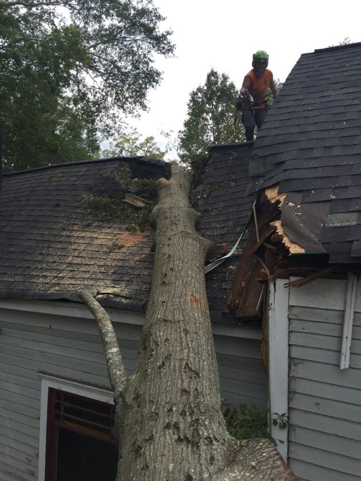 Leakage & Renovation 306